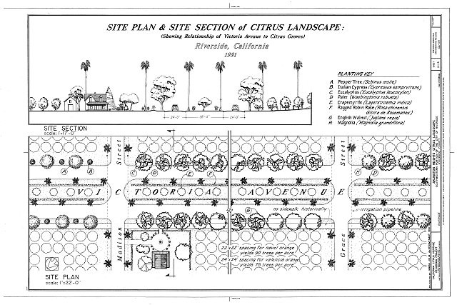 Riverside California 1911 Arlington Heights Citrus Landscape Site Plan