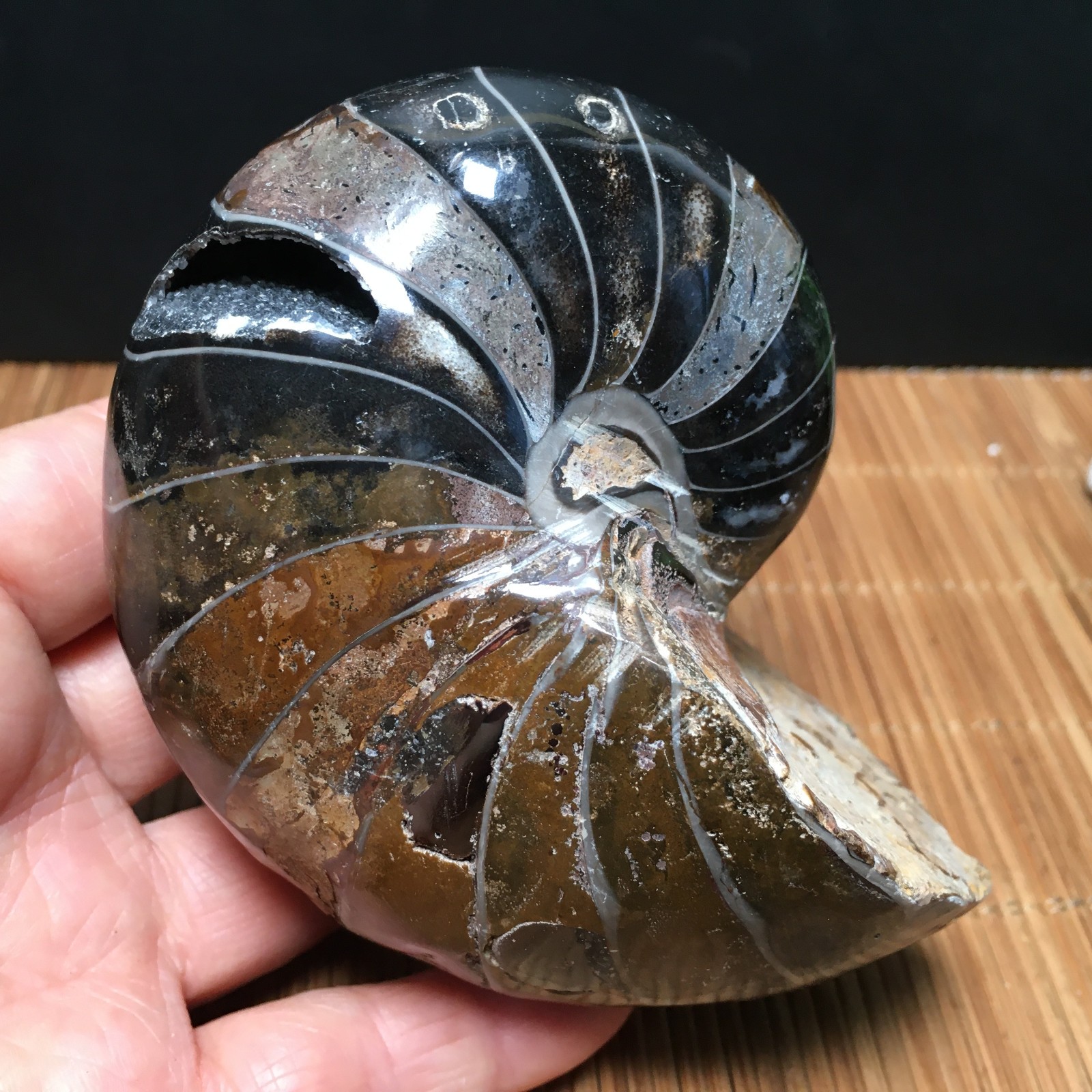 454g natural polished   Stone sculptor decora Specimen fb1757