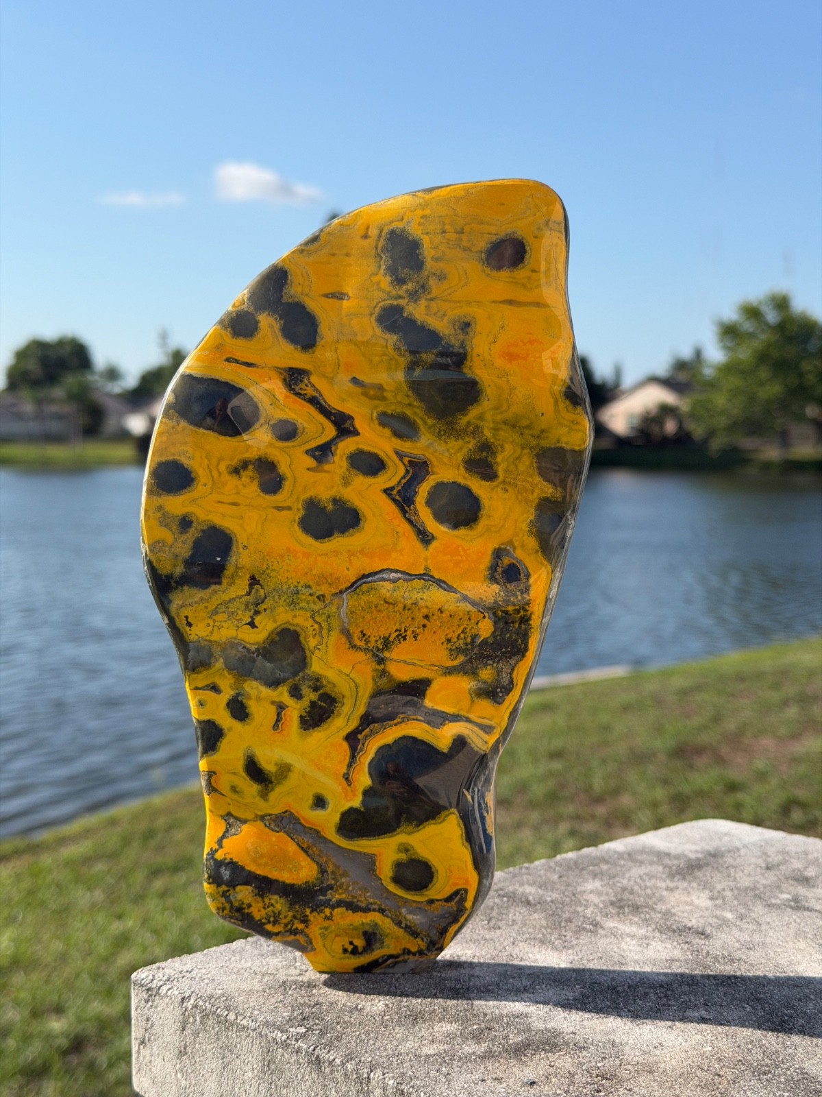AAA Bumble Bee Jasper Polished Slab Slice 217mm 1.645 kilos Rare Yellow/Orange AAA Bumble Bee Jasper Polished Slab Slice 217mm 1.645 kilos Rare Yellow/Orange