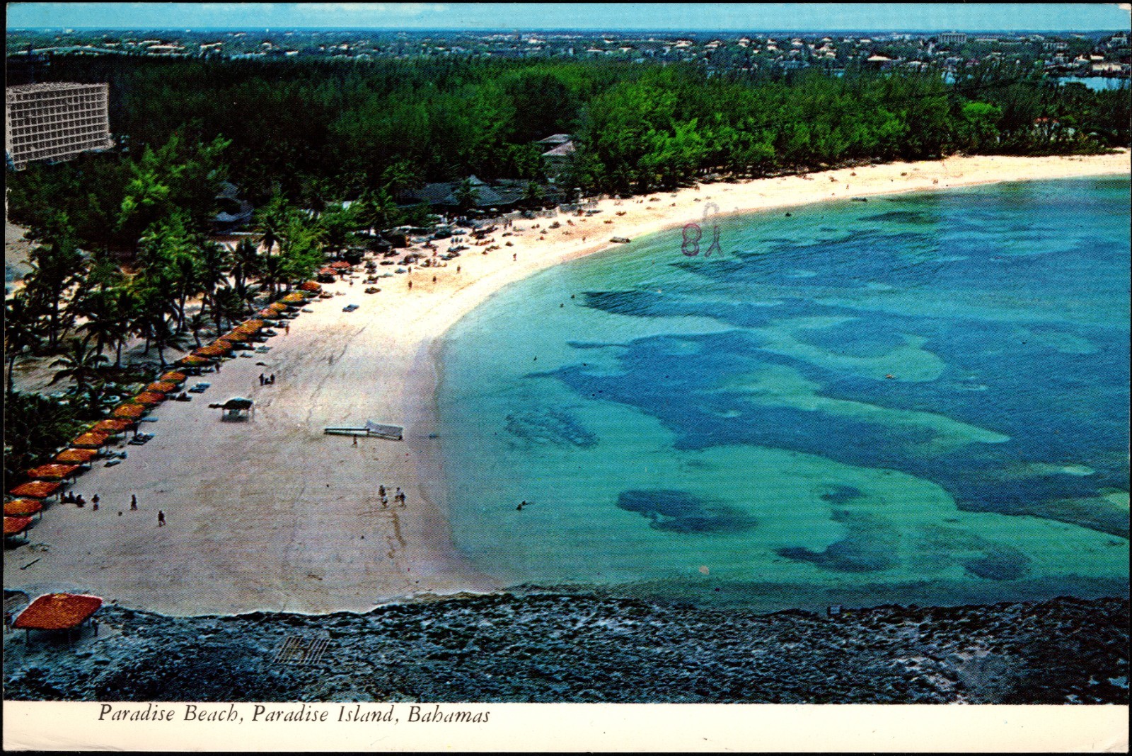 Continental PC Paradise Beach Paradise Island Bahamas Clear Blue Waters Continental PC Paradise Beach Paradise Island Bahamas Clear Blue Waters