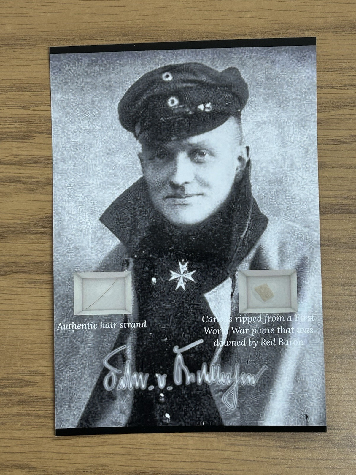 Manfred von Richthofen Red Baron Hair Strand & Plane Canvas Piece Relic Display Manfred von Richthofen Red Baron Hair Strand & Plane Canvas Piece Relic Display