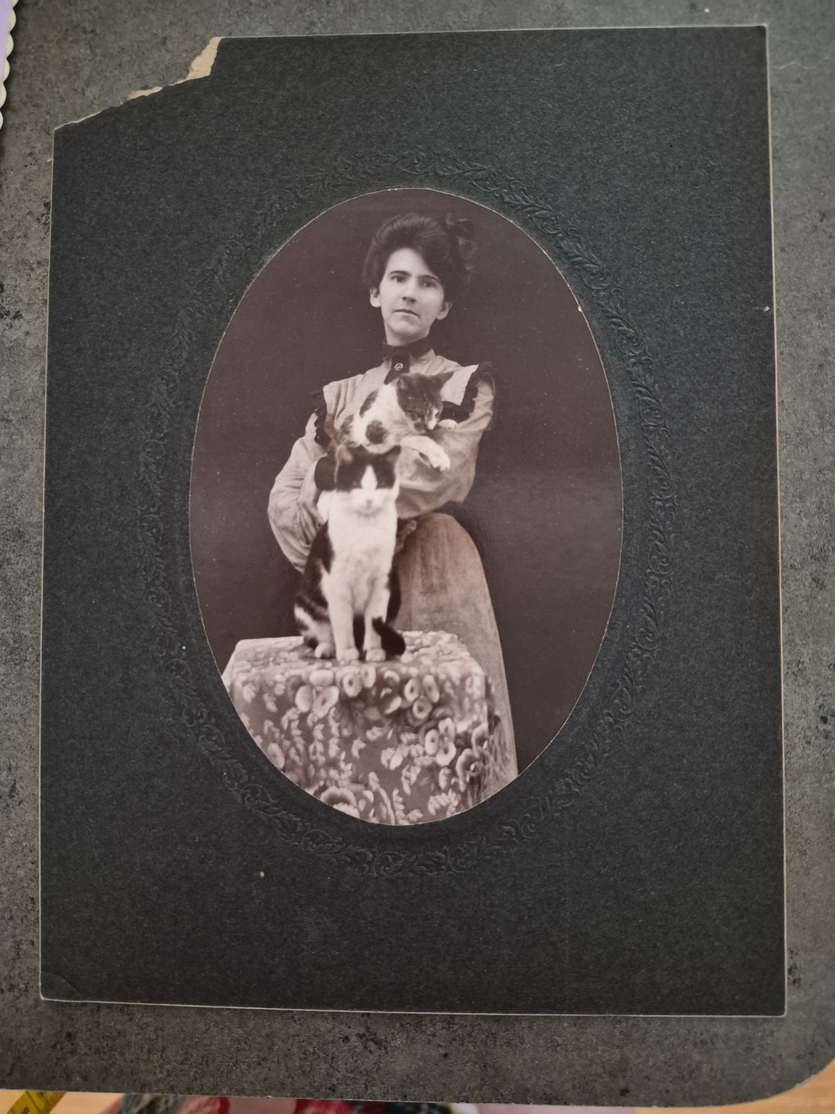 Vtg Antique Cabinet Card Photo 2 Cats Cat 8x6 Victorian Gibson Girl SEPIA Vtg Antique Cabinet Card Photo 2 Cats Cat 8x6 Victorian Gibson Girl SEPIA