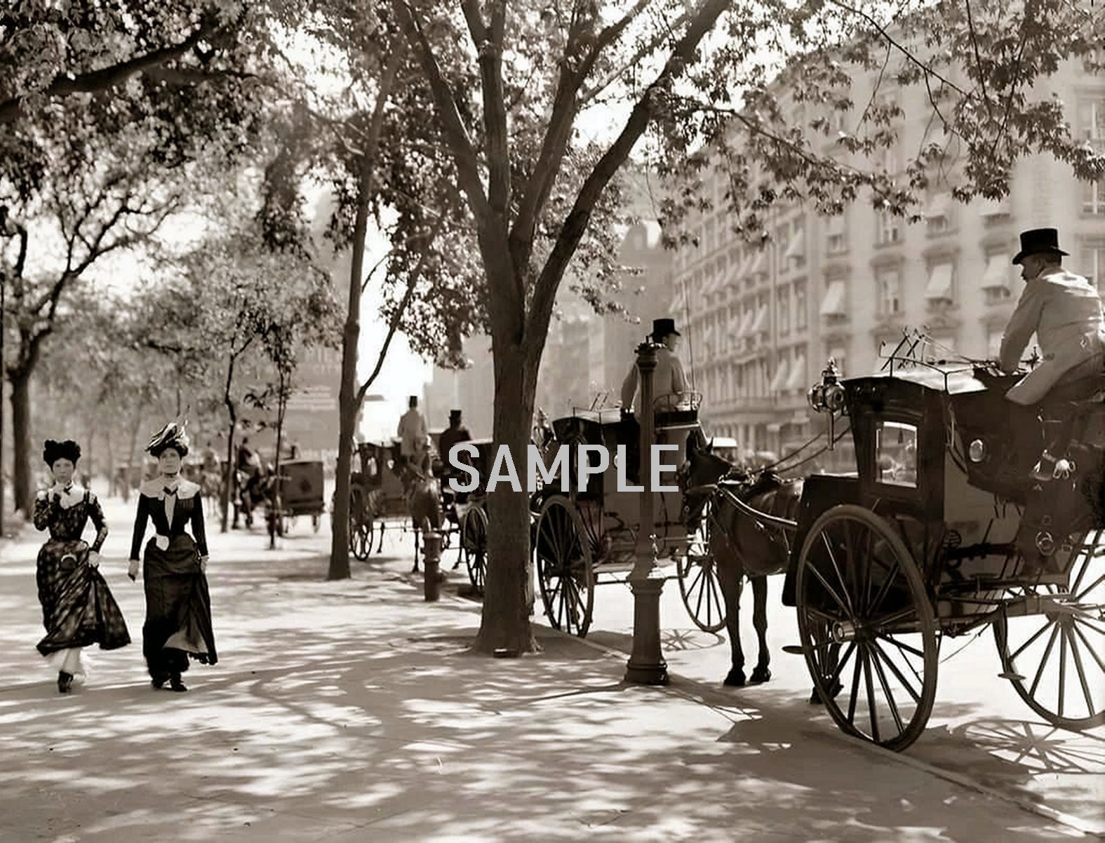 1900s NEW YORK Madison Square  8.5X11 PHOTO (237-T)