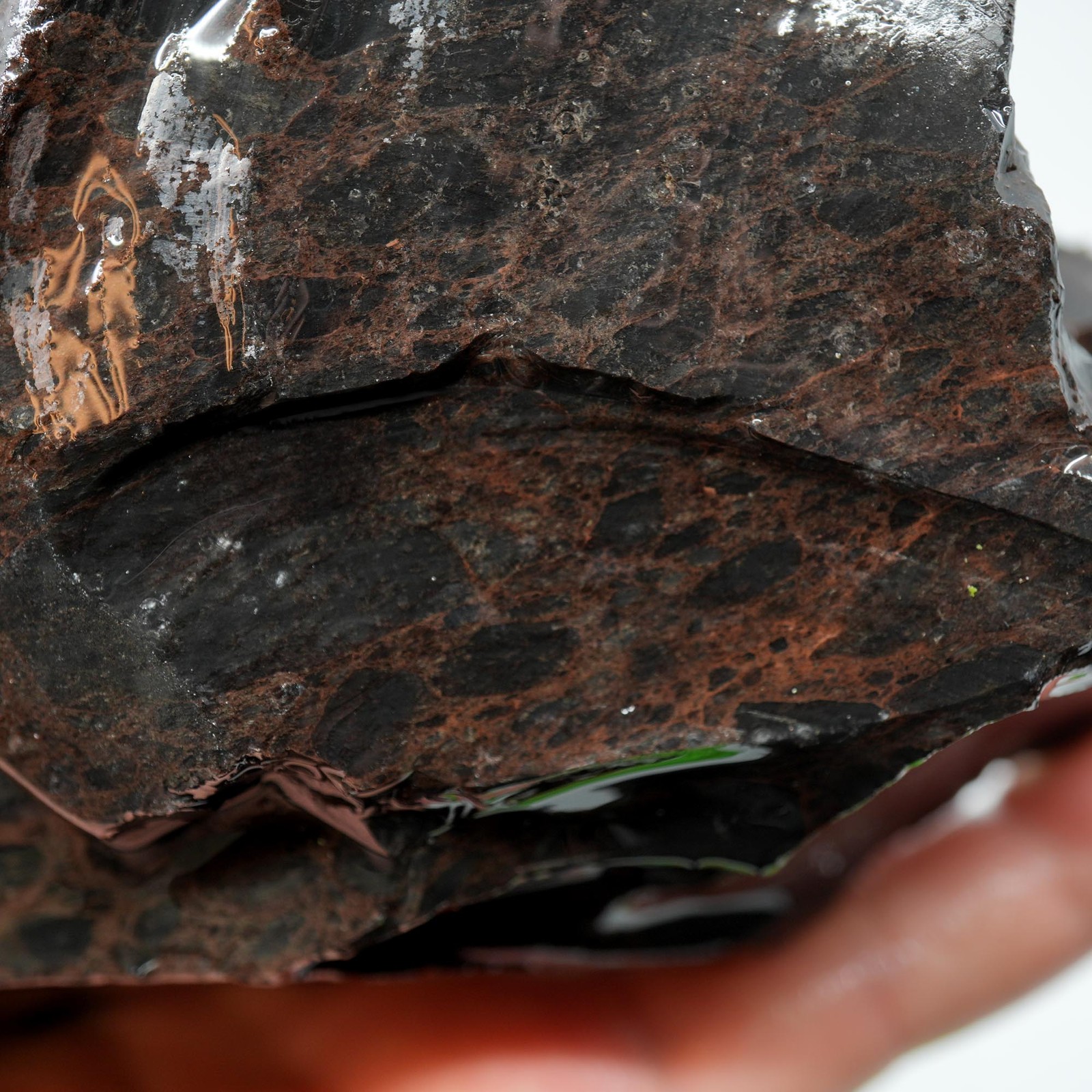Mahogany Obsidian Rough - Dark Smoky Variant from Glass Butte
