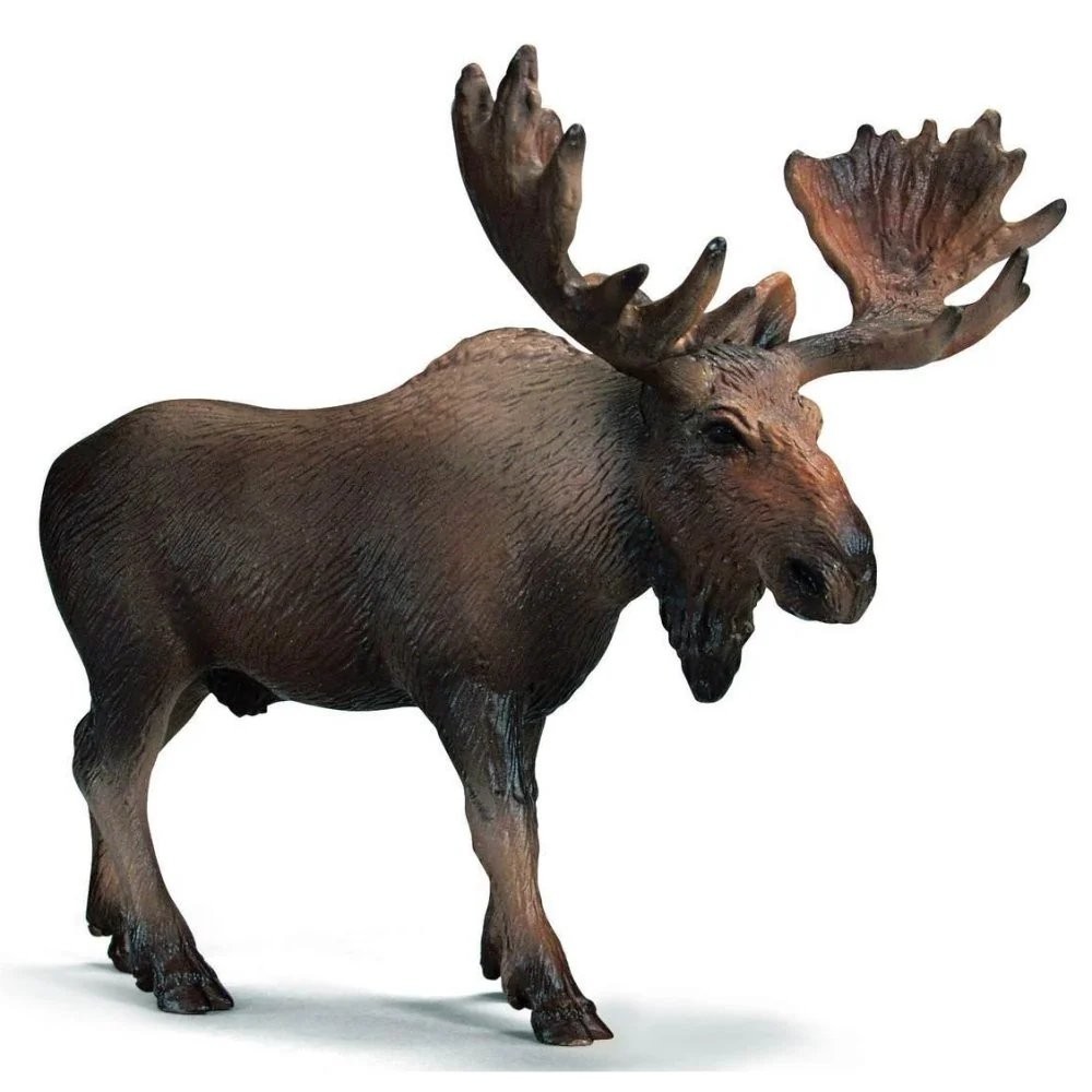 NEW Schleich 14310 Moose wild life figurine animal replica figure RETIRED toy NEW Schleich 14310 Moose wild life figurine animal replica figure RETIRED toy