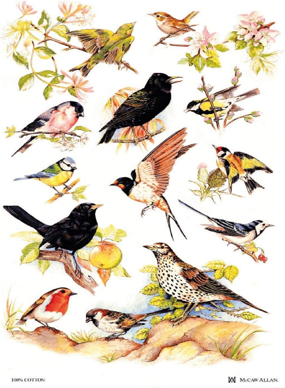 Samuel Lamont, 'British Birds' Kitchen/Tea Towel Samuel Lamont, 'British Birds' Kitchen/Tea Towel
