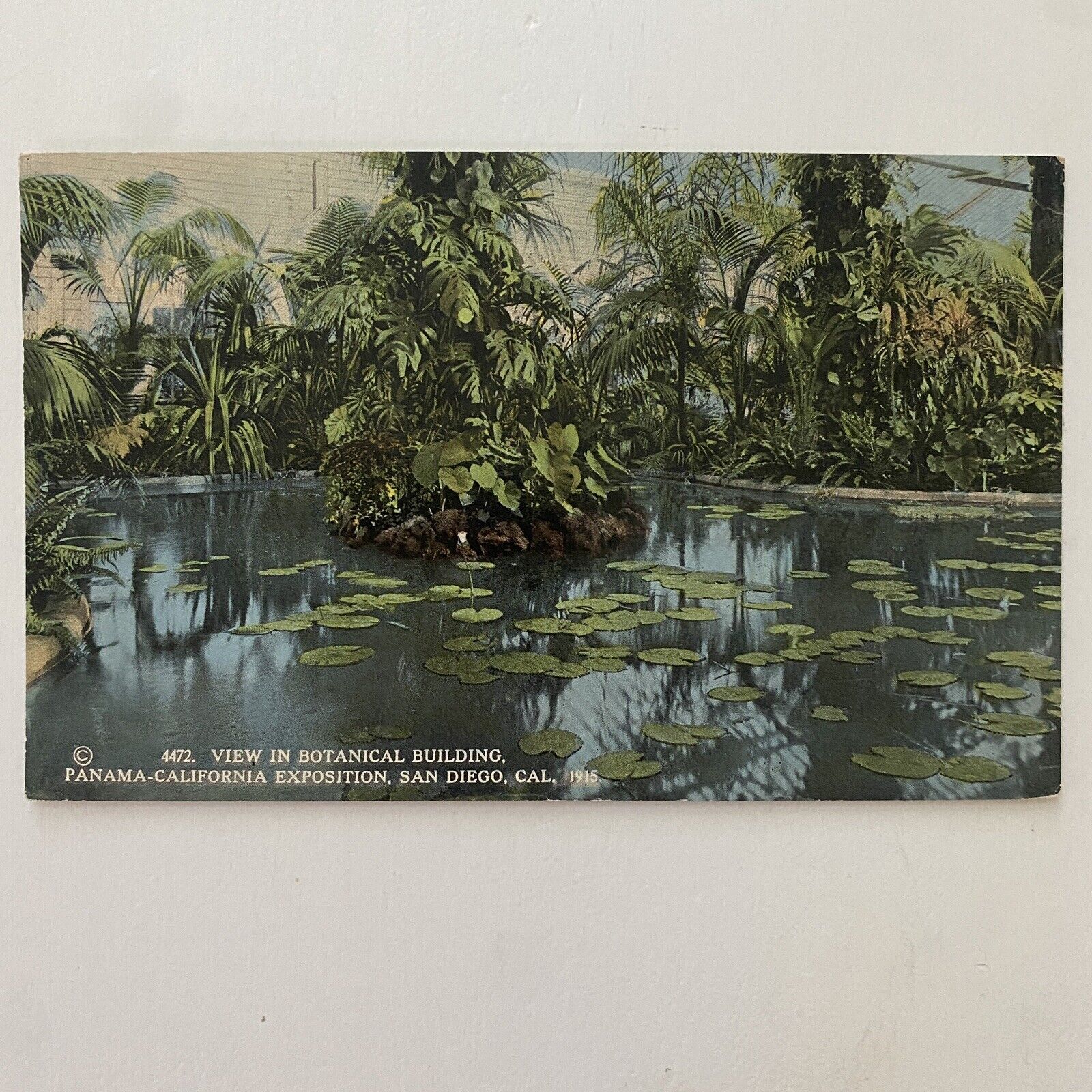 Antique View In Botanical Building-Panama California Expo San Diego Postcard