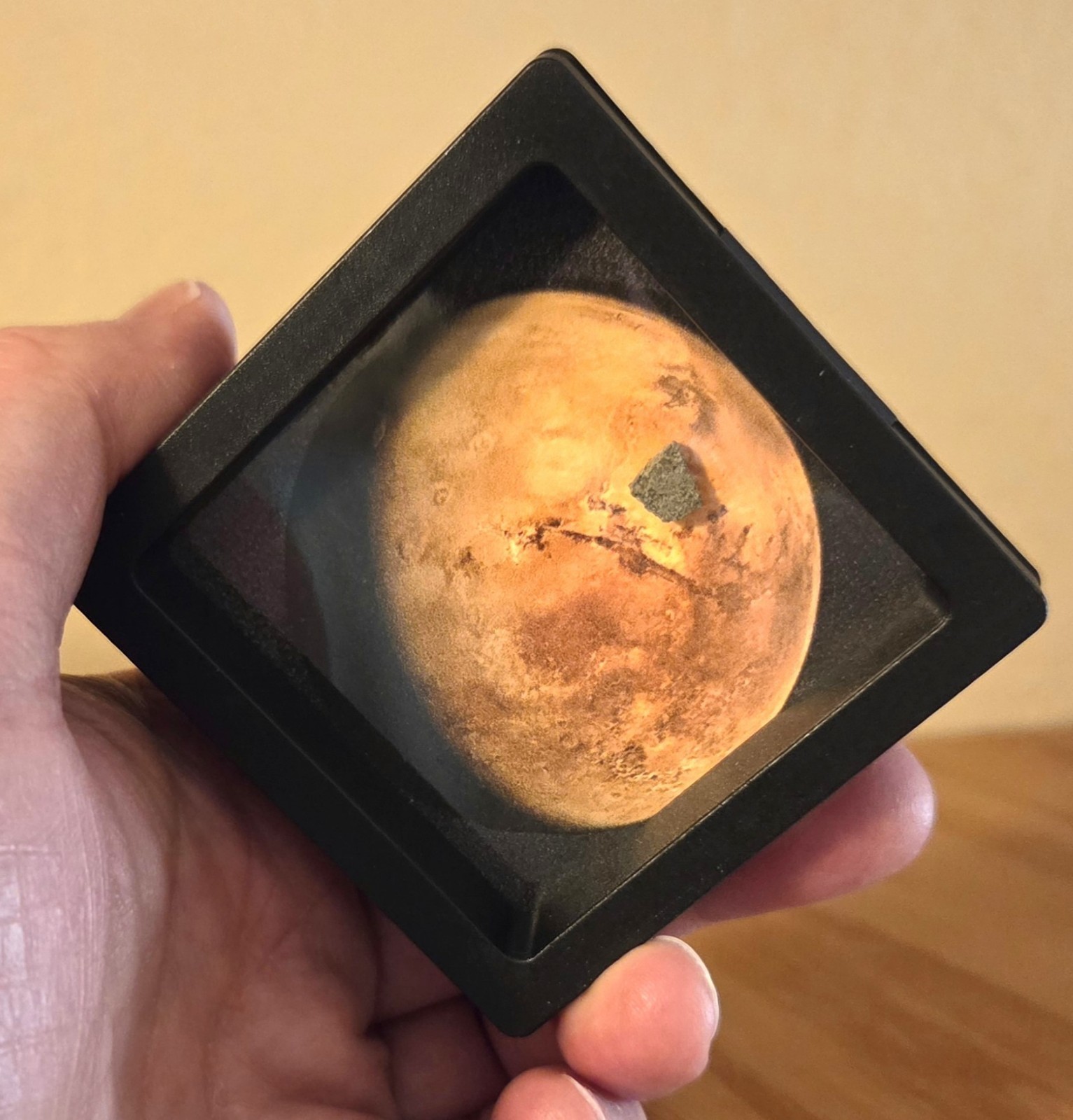 Genuine Mars Rock, XL Martian Meteorite Interactive Display w/ Authenticity Card