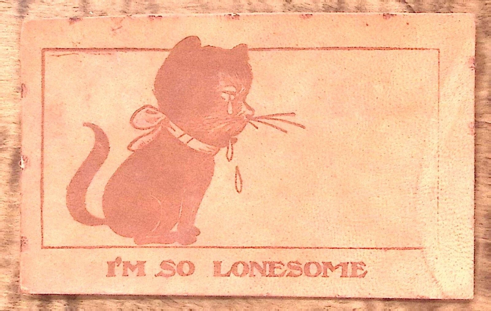 1907 CUTE KITTEN CRYING-I\'M SO LONESOME MILWAUKEE WI LEATHER POSTCARD P2542 1907 CUTE KITTEN CRYING-I\'M SO LONESOME MILWAUKEE WI LEATHER POSTCARD P2542
