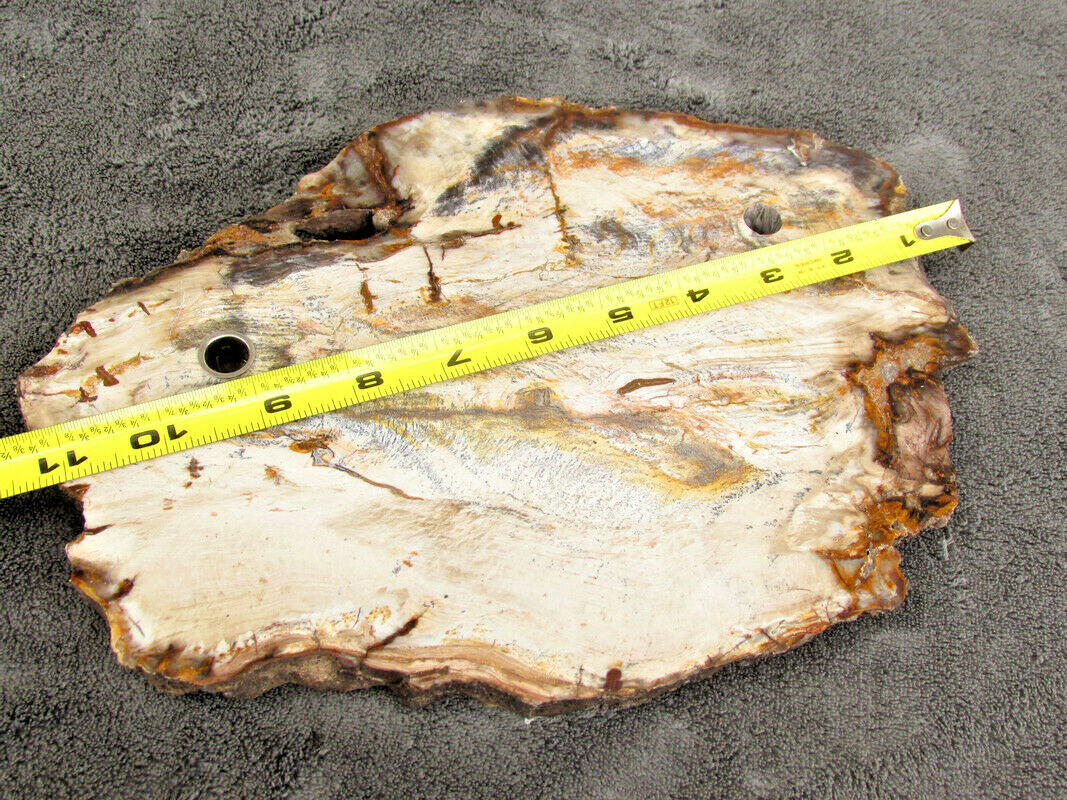 Stone Desk set Pen Petrified Wood Base vintage Shaeffer Old Antique Display GE Stone Desk set Pen Petrified Wood Base vintage Shaeffer Old Antique Display GE