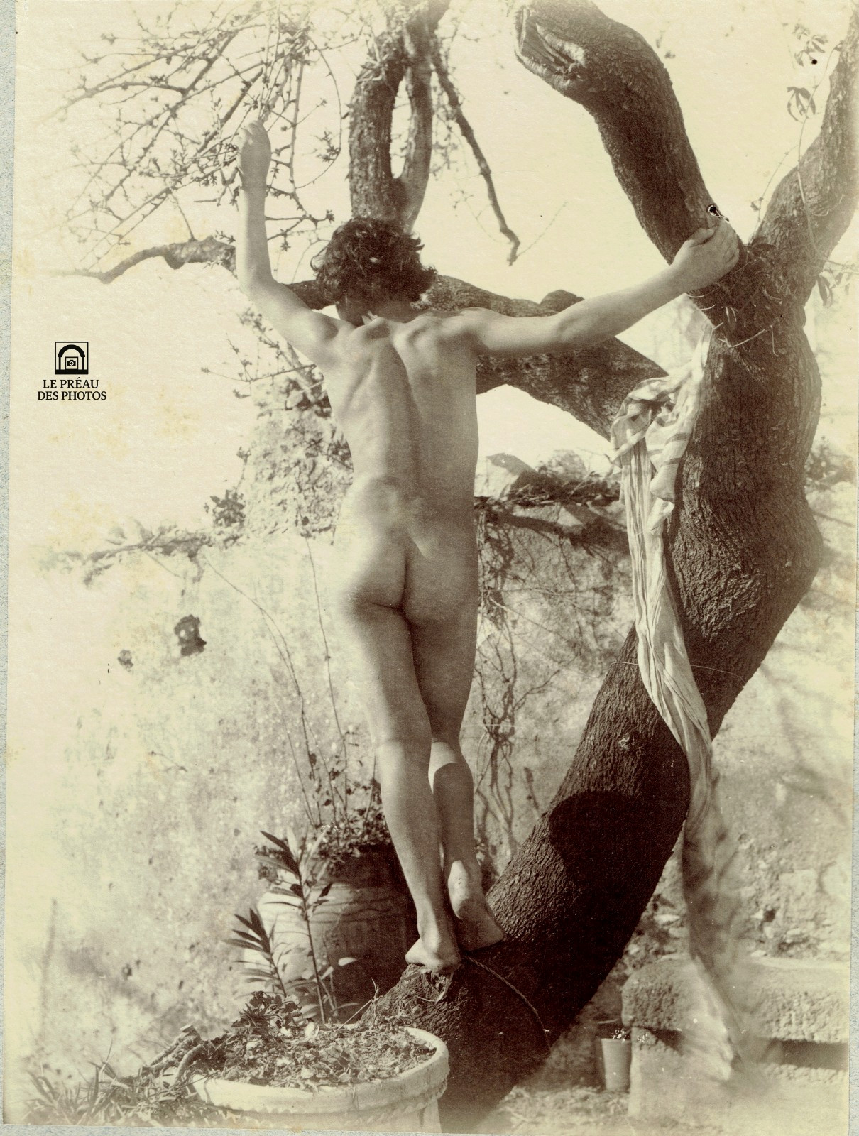 PHOTO Baron VON GLOEDEN Ca 1890 Artistic Nude The Watchman PHOTO Baron VON GLOEDEN Ca 1890 Artistic Nude The Watchman
