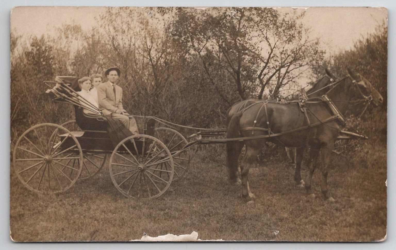 RPPC Horse Drawn Buggy Photo Postcard Clara Lula Nellie Stone Decatur IL RPPC Horse Drawn Buggy Photo Postcard Clara Lula Nellie Stone Decatur IL