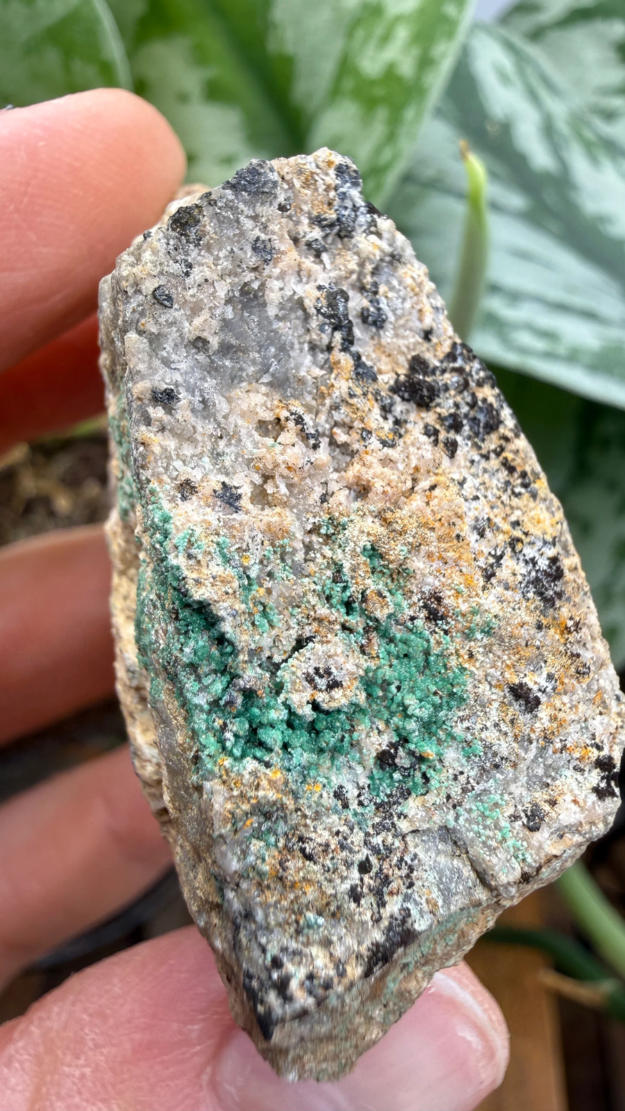 Scorodite with Chalcocite- Empire Mine, Yerington, Lyon County, Nevada, USA Scorodite with Chalcocite- Empire Mine, Yerington, Lyon County, Nevada, USA