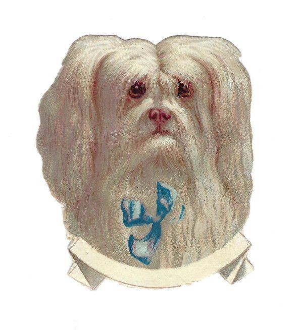1888 Chromo, Victorian FLUFFY WHT DOG FACE BLUE BOW, Die-Cut Scrap 2.5 1888 Chromo, Victorian FLUFFY WHT DOG FACE BLUE BOW, Die-Cut Scrap 2.5