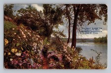 Pathway Along Mississippi River Minneapolis St. Paul Minnesota Postcard 2219  picture