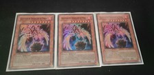 Playset 3x Phoenixian Cluster Amaryllis - Super Rare - Yu-Gi-Oh ITA picture