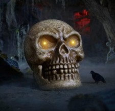 Home Accents Holiday 30 in. LED Haunted Skull NIB Retired Home Depot Halloween picture