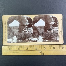 Phoebe's Arch Palmer Lake Colorado Stereoview B. L. Singley 1896 Landscape picture