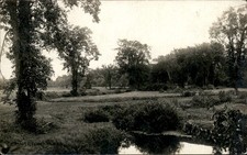 Princeton Massachusetts MA Landscape c1900s-10s Real Photo Vintage Postcard picture