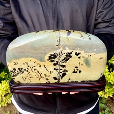 5.26LB Beautiful Natural Chinese Dendritic Limestone Picture Stone Guohua - Rare picture