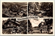 Schwarzburg East Germany Thuringian Forest Scenic Views RPPC Postcard picture
