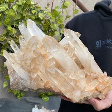 13LB A+Large Natural clear white Crystal Himalayan quartz cluster /mineralsls picture