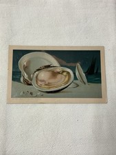 Old 1889 Arbuckle's Ariosa Coffee, No. 38 Clams, Trade Card picture