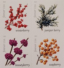 20 FOREVER FIRST CLASS LETTER STAMPS WINTER BERRIES MNH 2019 BOOK PANE picture