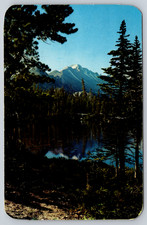 Postcard View of Longs Peak From Nymph Lake RMNP Colorado picture