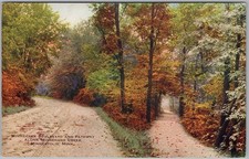 Minnehaha Boulevard Pathway, Minneapolis, MN - V. O. Hammon Postcard H86 picture