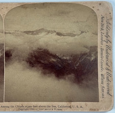 Among the Clouds – 11,000 Feet Above the Sea in the Sierra Nevada Stereoview picture