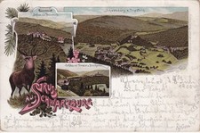 Ancient Litho Ak, Greeting From Schwarzburg, Various Views 1900 picture