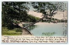1905 Scenic View Along Shore Chautauqua Lake New York NY Vintage Posted Postcard picture