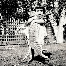 1940s Cute Little Girl Holding Huge Cat Funny Odd Vintage Animal Snapshot Photo picture