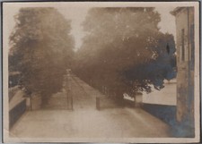 WW1 Tourist 1919 Fontainebleau Pathway Tree-Lined France Original Photo picture