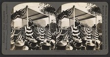 Photo:New York NY Theodore Roosevelt 1910 Crowd Flags Arrival Speech picture