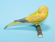 Shine G Tenori Inko Sleep Good Night Yellow Green Budgerigar parakeet Budgie new picture