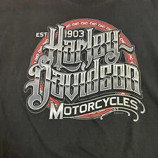 Harley Davidson Motorcycles Cotton T Shirt Black Thunder Mountain Colorado Sz Lg picture