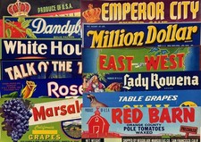 Lot of 12 1950 - 1963 Vintage Unused Crate Labels from various companies.  (L-C) picture