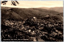 Aerial View Schwarzburg Thuringian Forest Germany Hills Village RPPC Postcard picture
