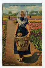 TULIP TIME NELIS TULIP FARM HOLLAND MICHIGAN picture