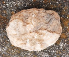 Very Large 4.8 lbs  Single Geode Quartz Crystal form Southern Kentucky. 6.25