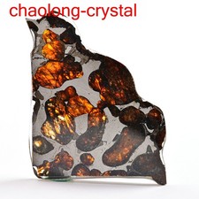 32.8Ct Brenham pallasite meteorite slice OLIVE METEORITE/USA DG1488 picture