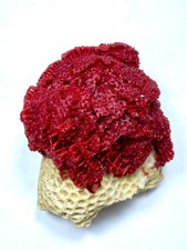 Rare Red Coral Colony on Natural Flower Coral Matrix | Oceanic Specimen Marinera picture