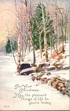1919 Christmas Postcard Snowy Winter Woods Birch Trees Owen Card Pub Co Warren picture