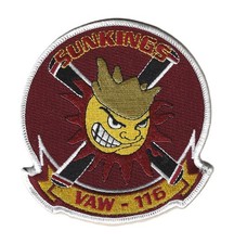 US Navy VAW-116 Sun Kings Command and Control Squadron NBVC Point Mugu picture