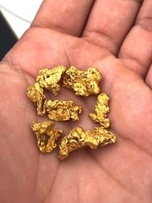 5 pounds bulk sample bag UNSEARCHED PAYSTREAK gold paydirt LOADED WITH GOLD picture