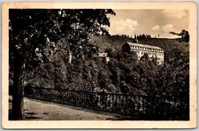 Schwarzburg East Germany Castle Trees Path Fence RPPC Postcard picture
