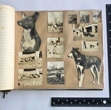 1940s-50s Vintage DOG PHOTO ALBUM 100+ Original Photos Raleigh NC Named Pets  picture
