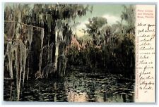 c1905 Scenic View Pond Lileies Hanging Moss River Florida FL Unposted Postcard picture